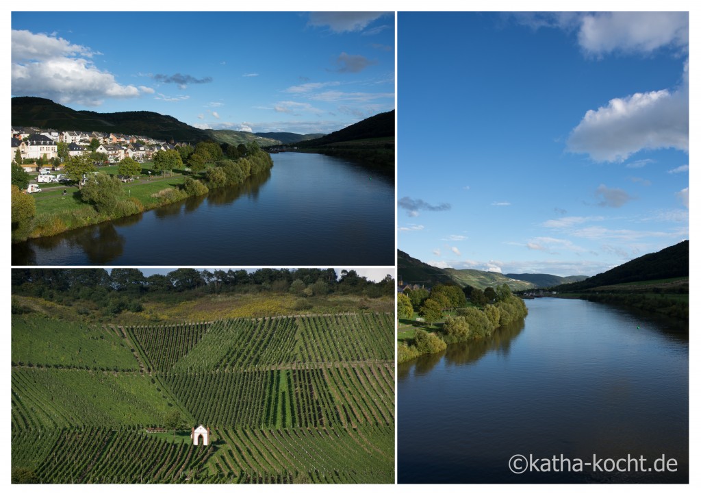 Weinberg_an_der_Mosel_2