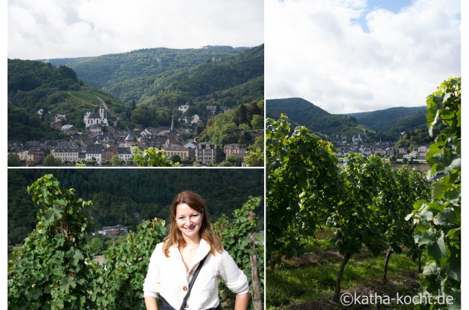 Die Weinberge an der Mosel