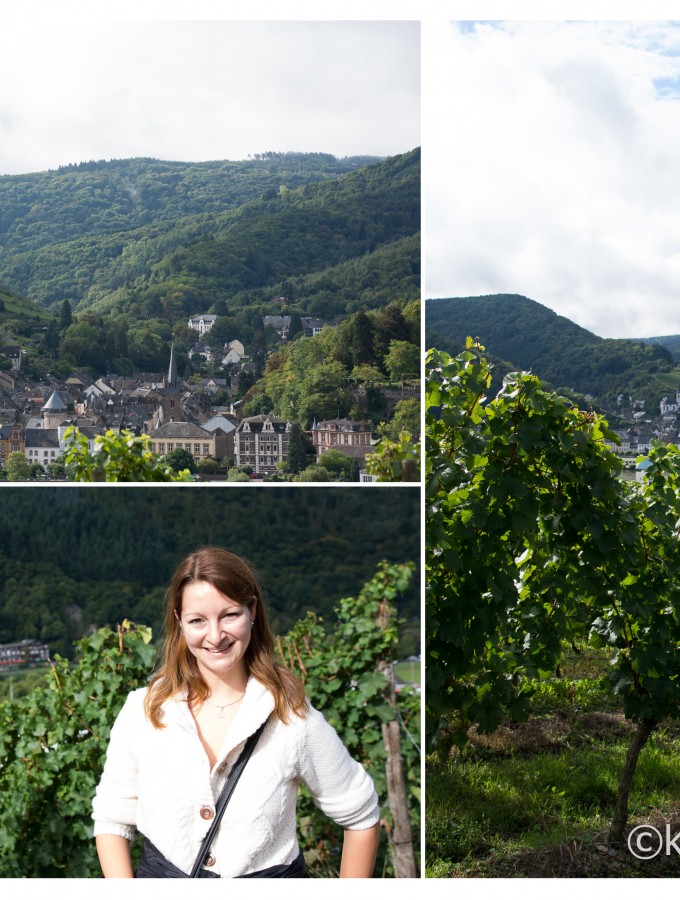 Die Weinberge an der Mosel