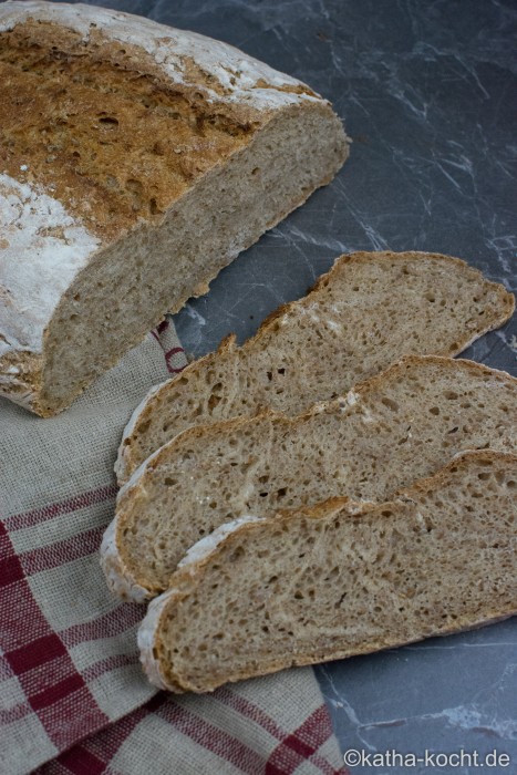 Schnelles_Brot_mit_Roggenschrot_ (12)