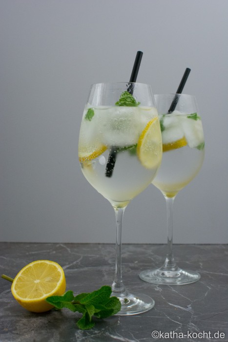 Gin_Tonic_mit_Zitrone_und_Minze_ (4)