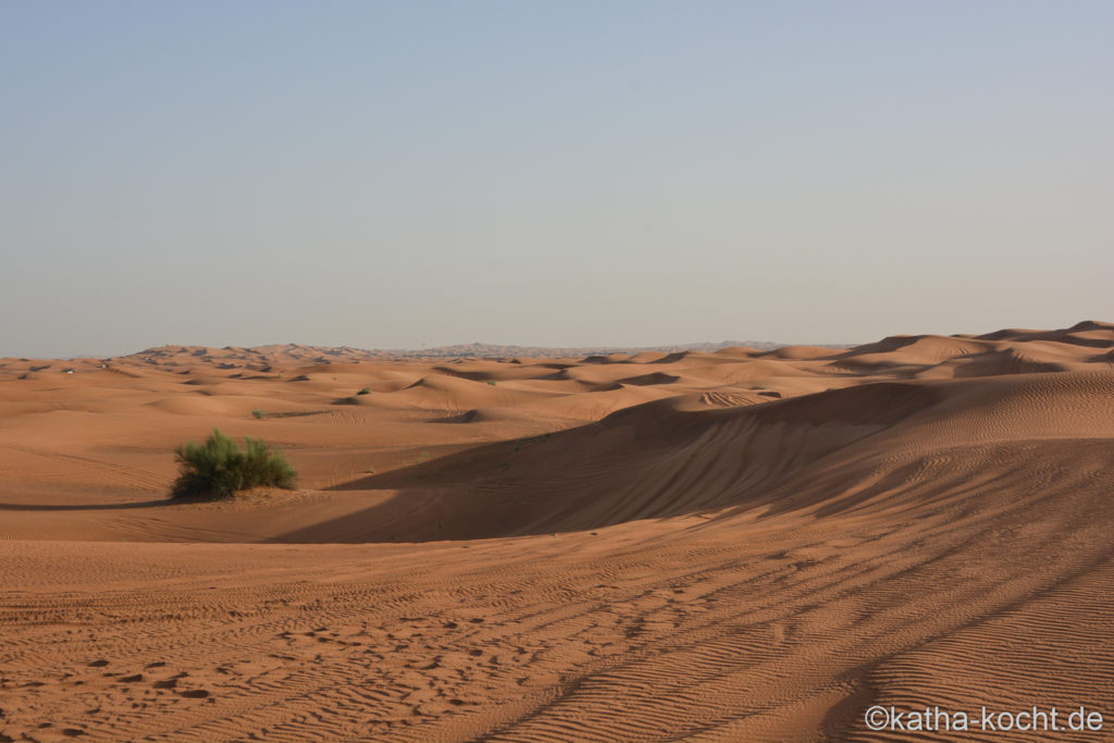 7 Tage Dubai - zwischen Wüste und Wolkenkratzern