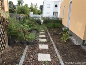 Garteneinblick - August 2017