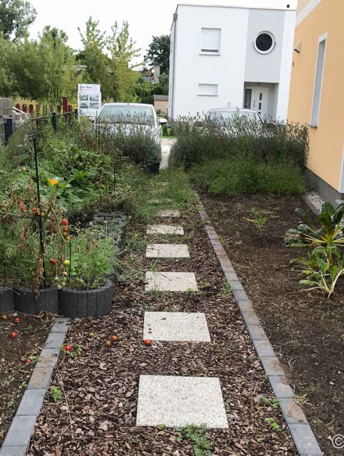 Garteneinblick - August 2017