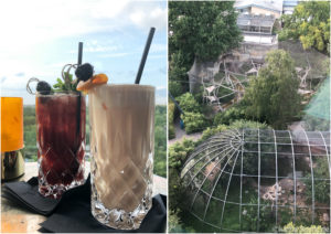 Die Monkey Bar im 25hours Hotel Bikini Berlin