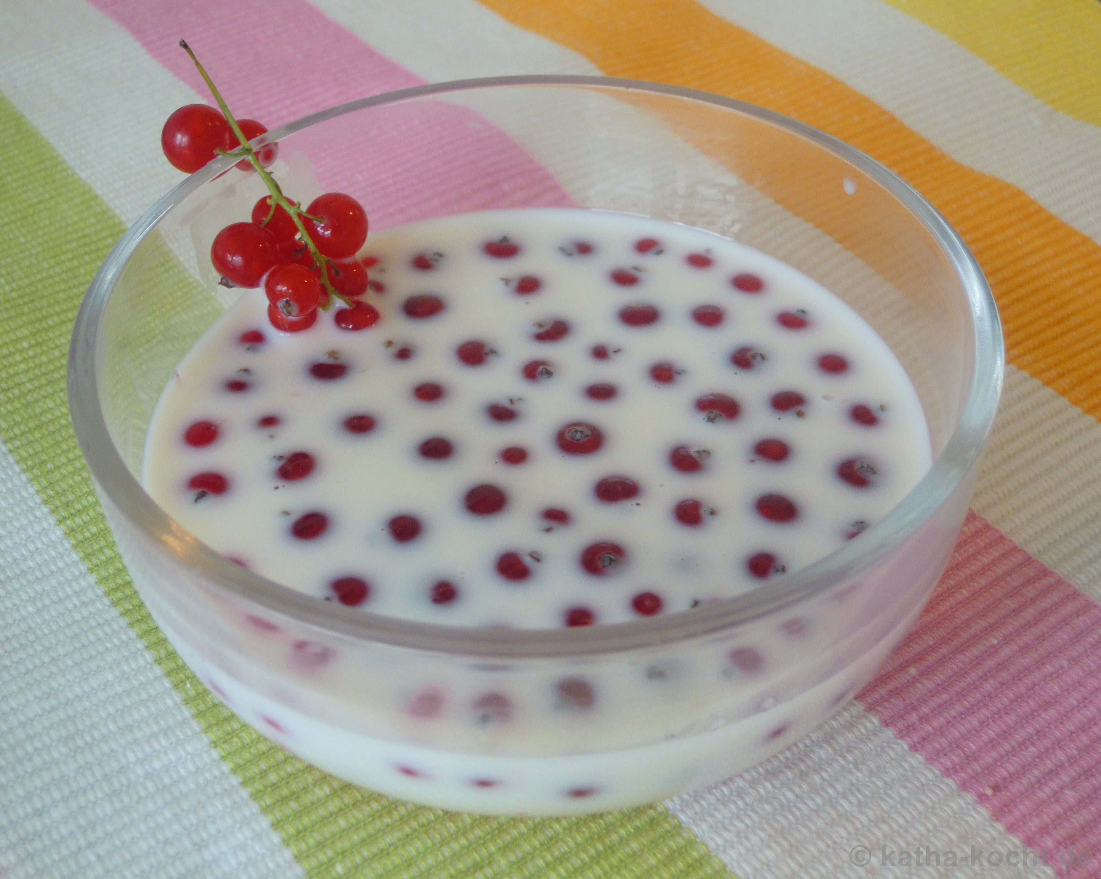 Johannisbeeren in Vanillemilch