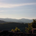 Mit einem Glas Wein durch die Toskana
