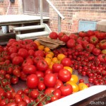 Kreuzberger Tomatenfest im Schmelzwerk