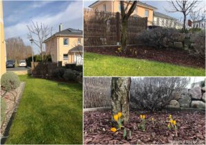 Garteneinblick Winter 2020