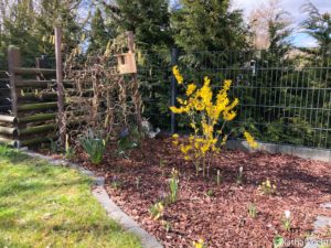 Garteneinblick März 2020