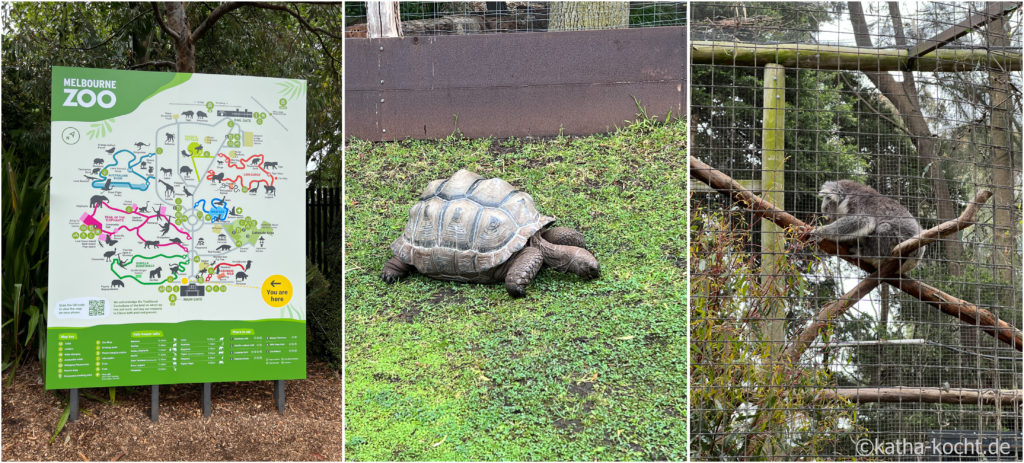 Zoo in Melbourne